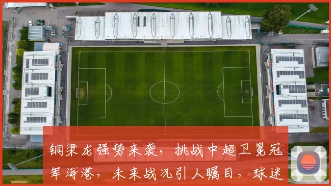 铜梁龙强势来袭，挑战中超卫冕冠军海港，未来战况引人瞩目，球迷热议不已_比赛_裁判_1
