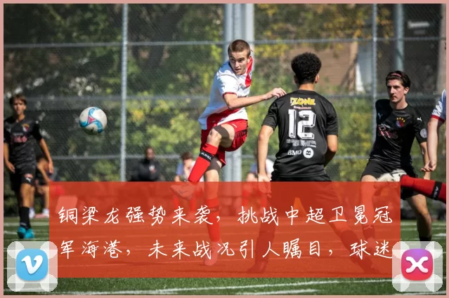 铜梁龙强势来袭，挑战中超卫冕冠军海港，未来战况引人瞩目，球迷热议不已_比赛_裁判_1