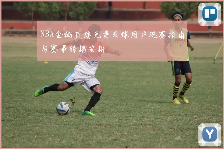 NBA企鹅直播免费看球用户观赛指南与赛事转播安排