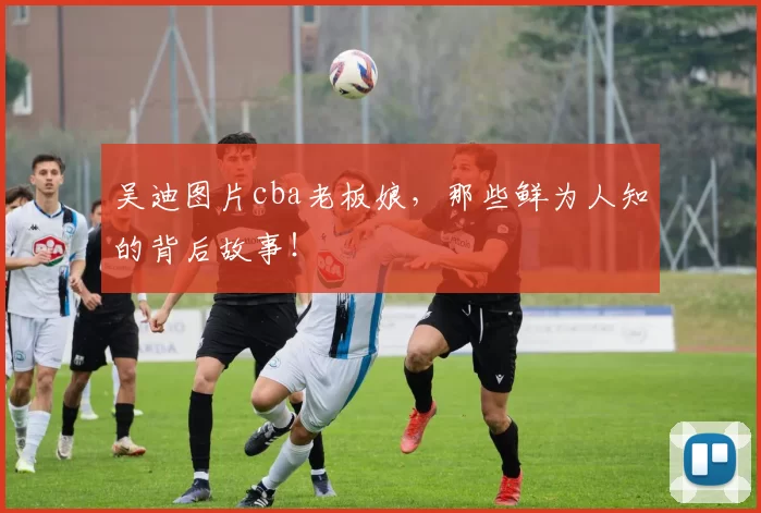 吴迪图片cba老板娘，那些鲜为人知的背后故事！