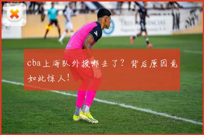 cba上海队外援哪去了？背后原因竟如此惊人！