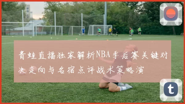 青蛙直播独家解析NBA季后赛关键对决走向与名宿点评战术策略演